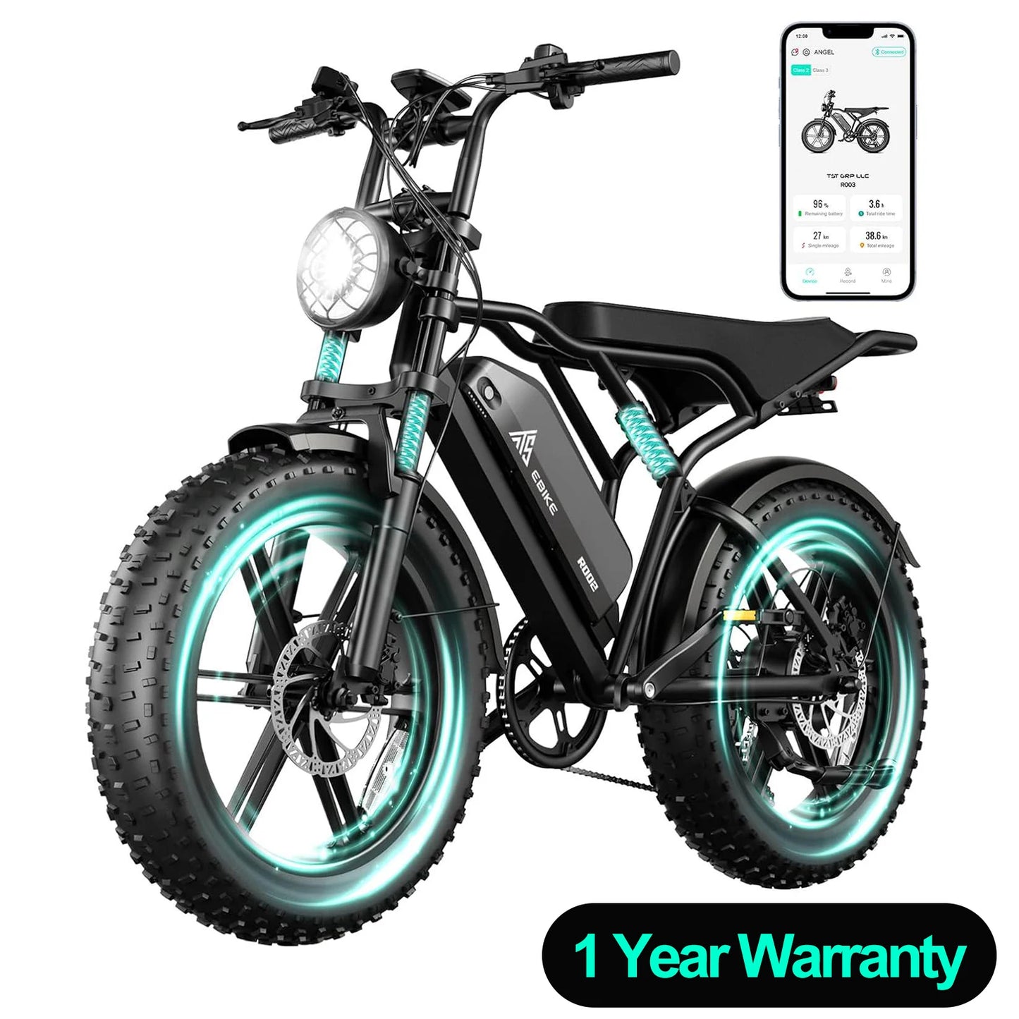 TST R002S 1500W Electric Fat Tire Mountain Bike All Terrain