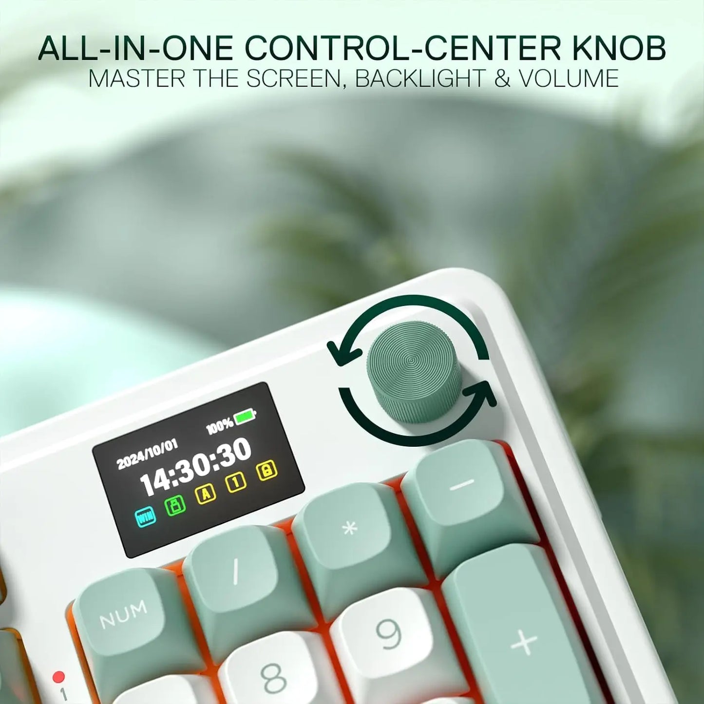 Redragon K719 Wireless Gasket Gaming 95 Keys Mechanical Keyboard,Easy-Control 1.14’’ TFT Info Display,Mint Mambo Switches